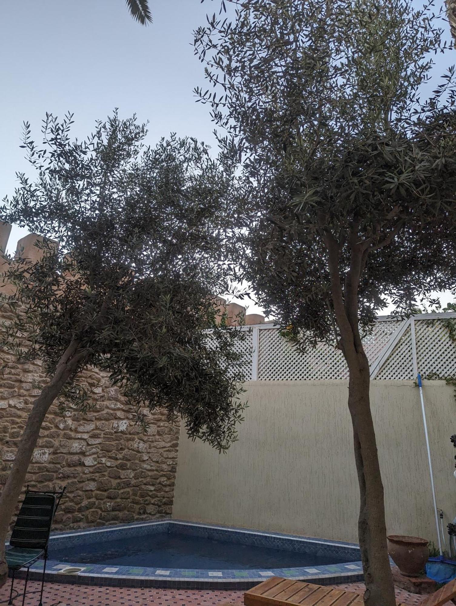 Aghata Palms Riad Εσαουίρα Εξωτερικό φωτογραφία