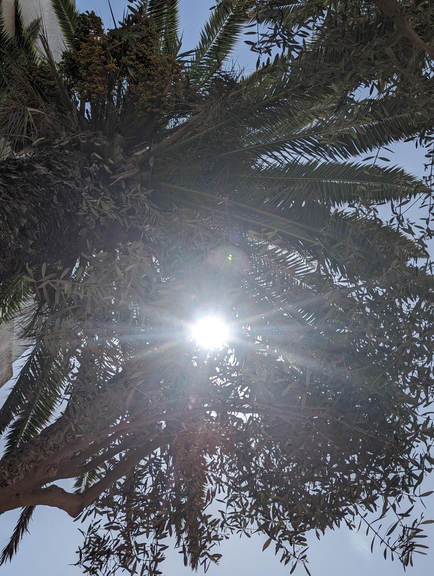 Aghata Palms Riad Εσαουίρα Εξωτερικό φωτογραφία